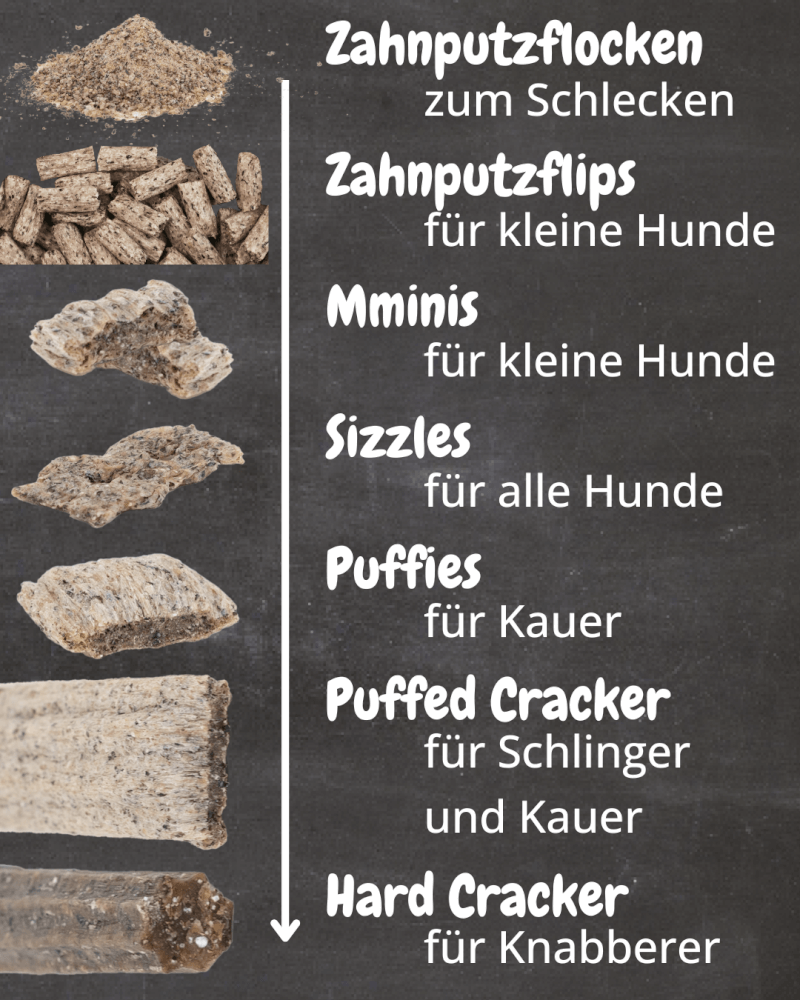 QCHEFS Zahnputzflips Hund