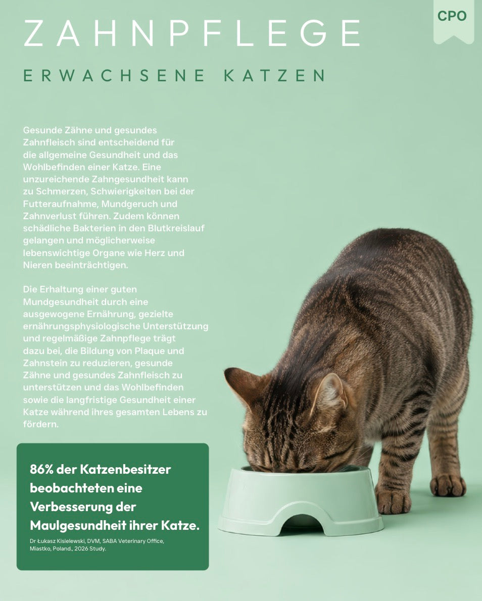 X-CLASS Vet+ Zahnpflege