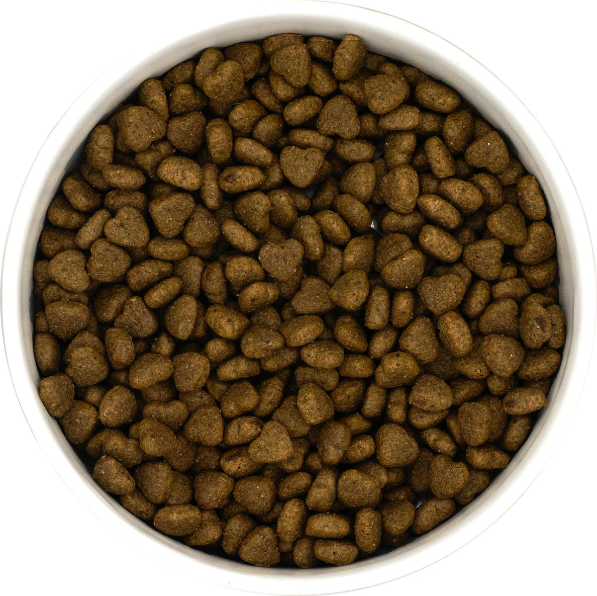 X-CLASS Vet+ Cat Gastrointestinal