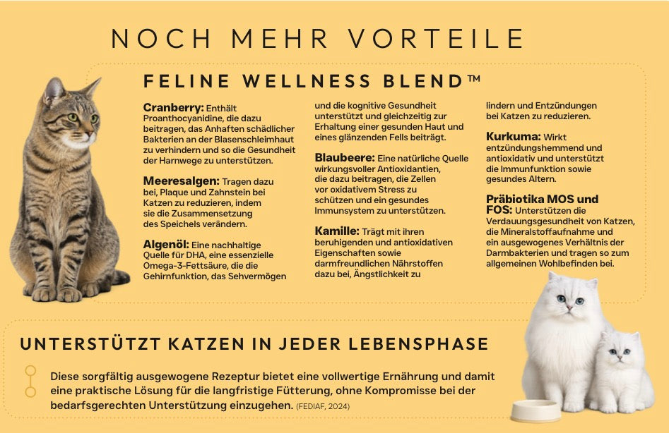 X-CLASS Vet+ Cat Hypoallergen / Gesundes Leben