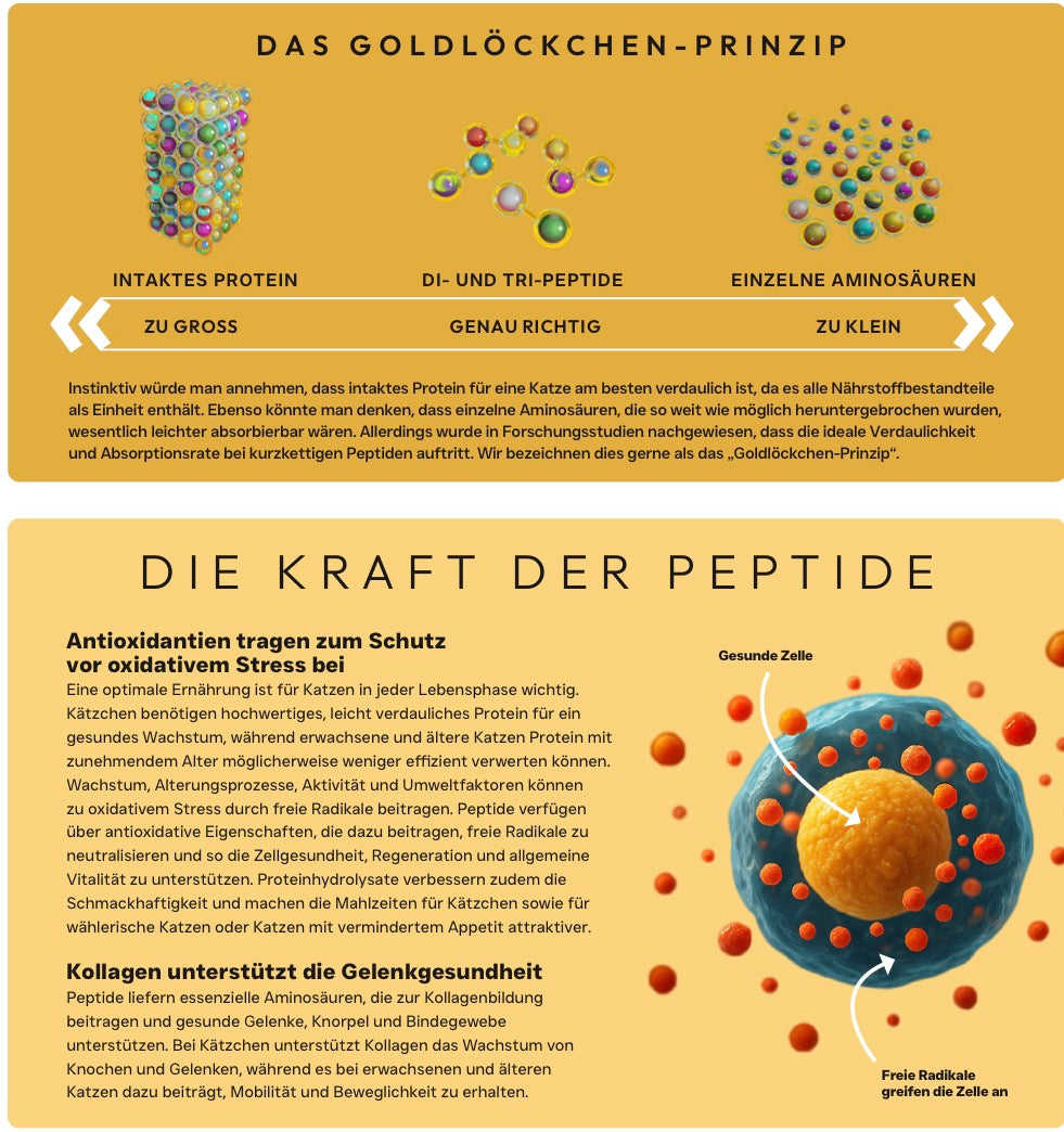 X-CLASS Vet+ Cat Hypoallergen / Gesundes Leben