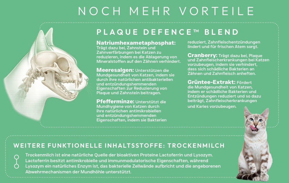 X-CLASS Vet+ Zahnpflege