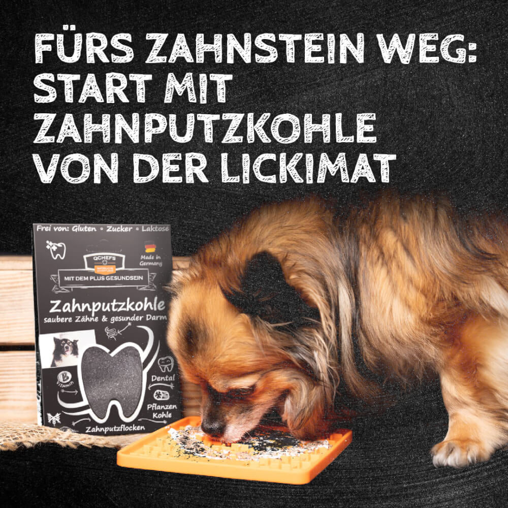QCHEFS Zahnputzflips Hund