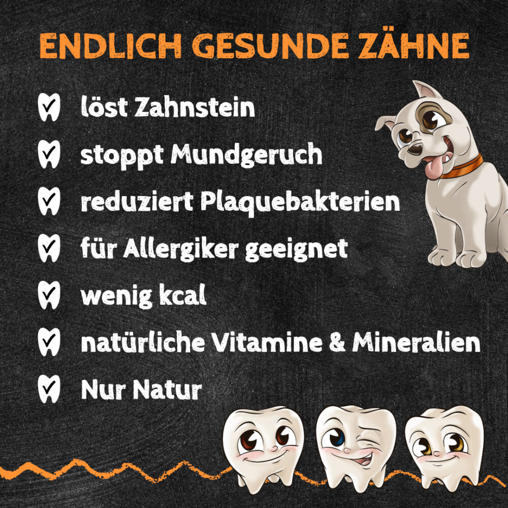 QCHEFS Zahnputzflips Hund