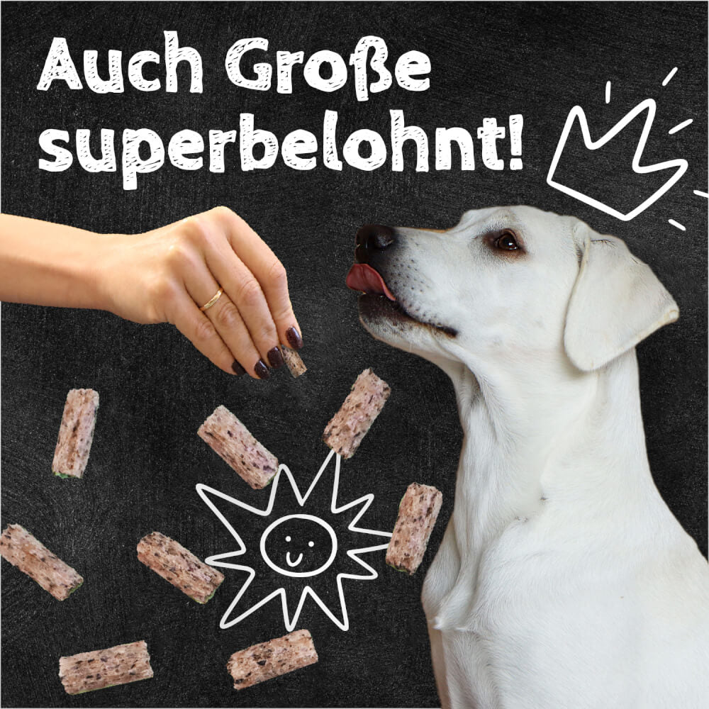 QCHEFS Zahnputzflips Hund