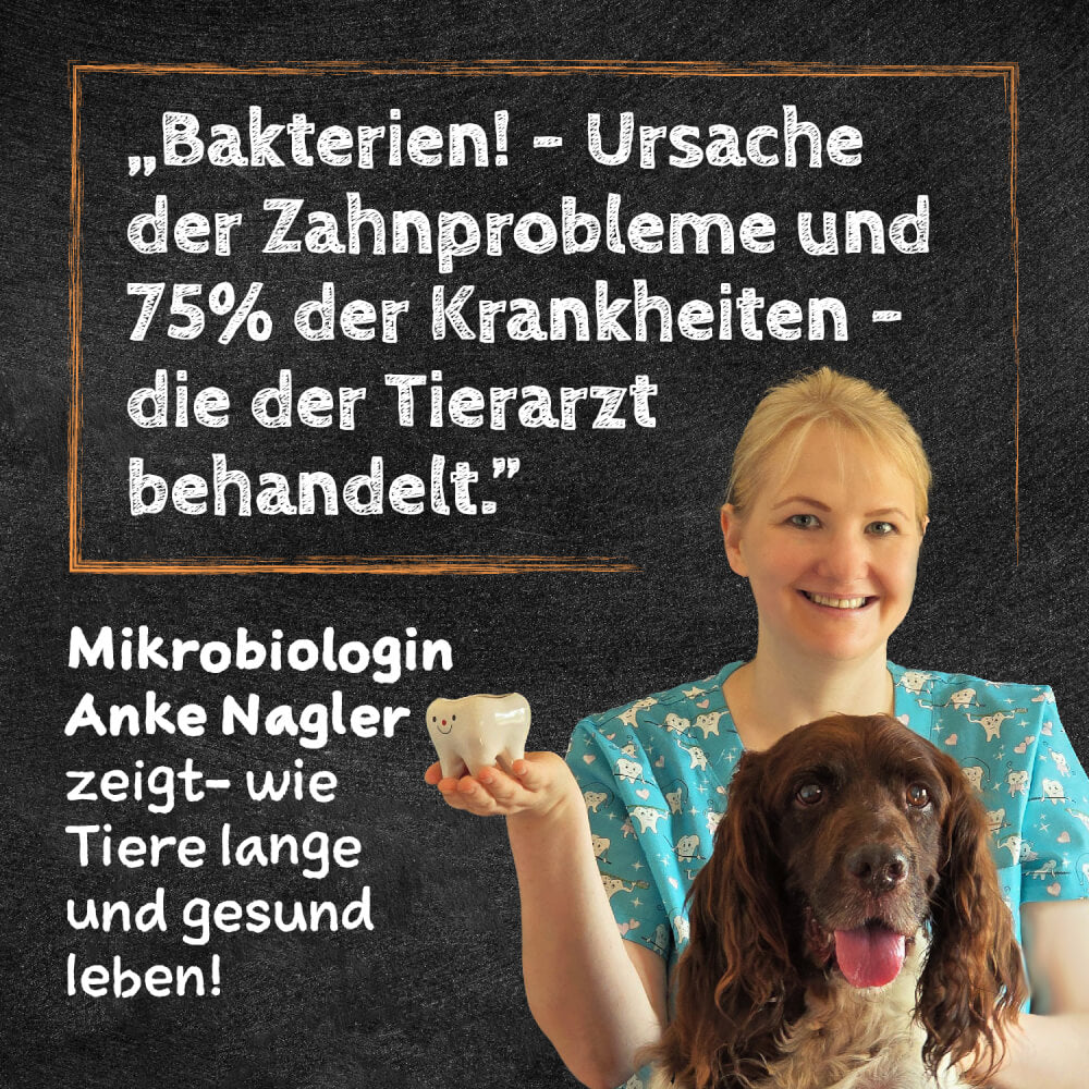 QCHEFS Zahnputzflips Hund