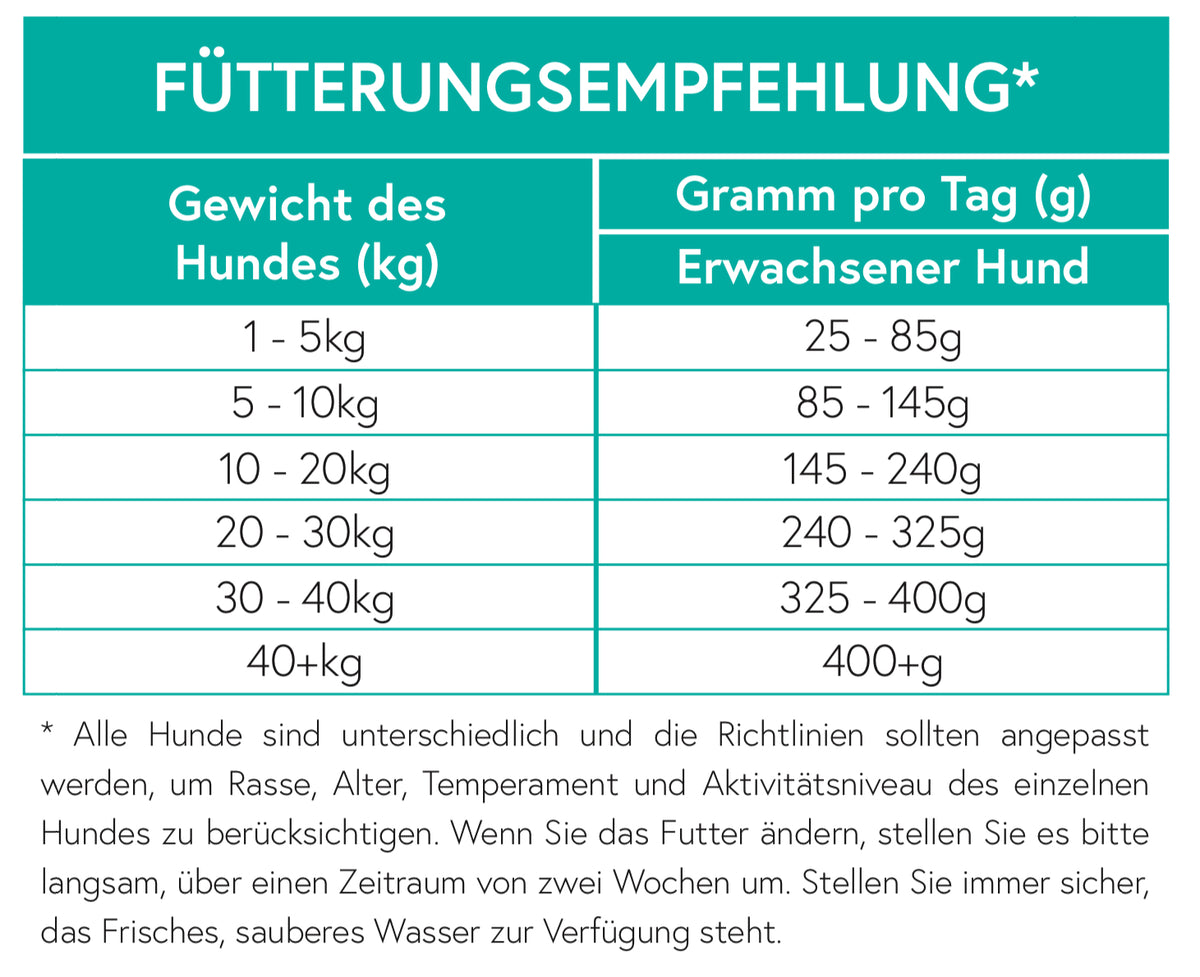 Getreidefrei Ente mit Süßkartoffel und Orange für ausgewachsene Hunde