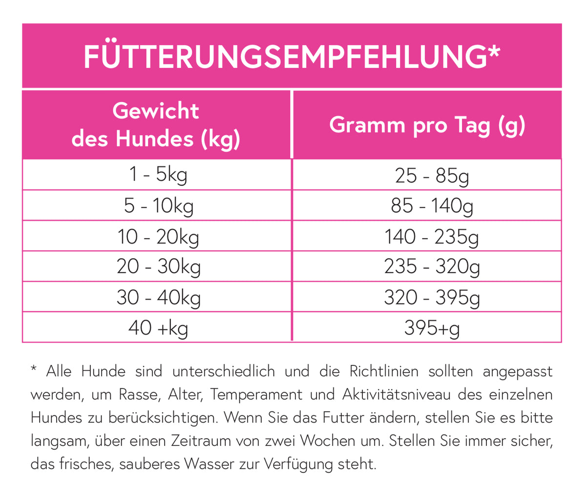 Superfood 65 Schottischer Lachs für ausgewachsene Hunde