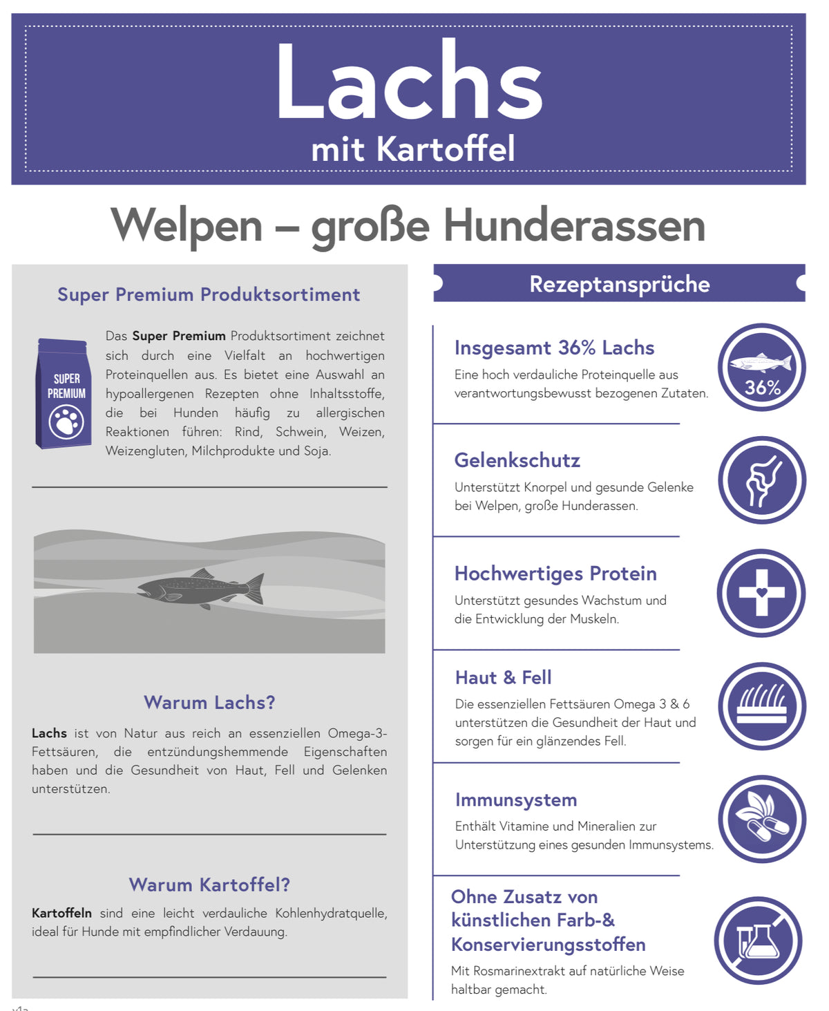 Lachs mit Kartoffel für Welpen - große Rassen