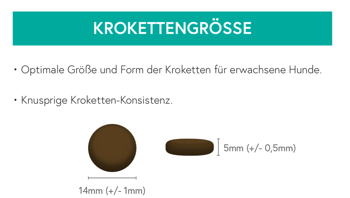 Getreidefrei Schwein mit Süßkartoffel & Apfel für ausgewachsene Hunde