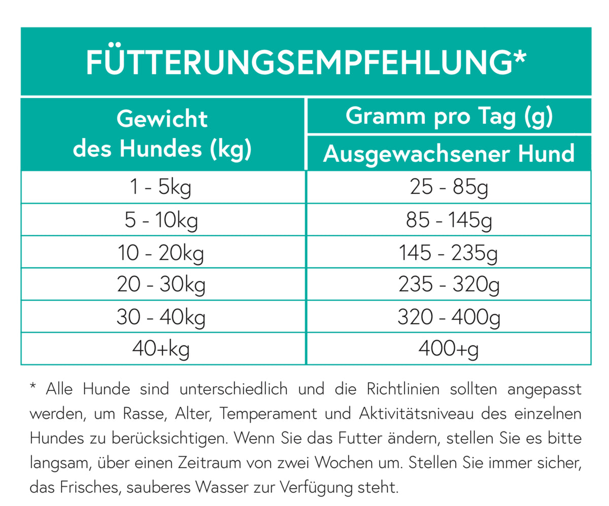 Getreidefrei Angus Rind mit Süßkartoffel und Karotte für ausgewachsene Hunde
