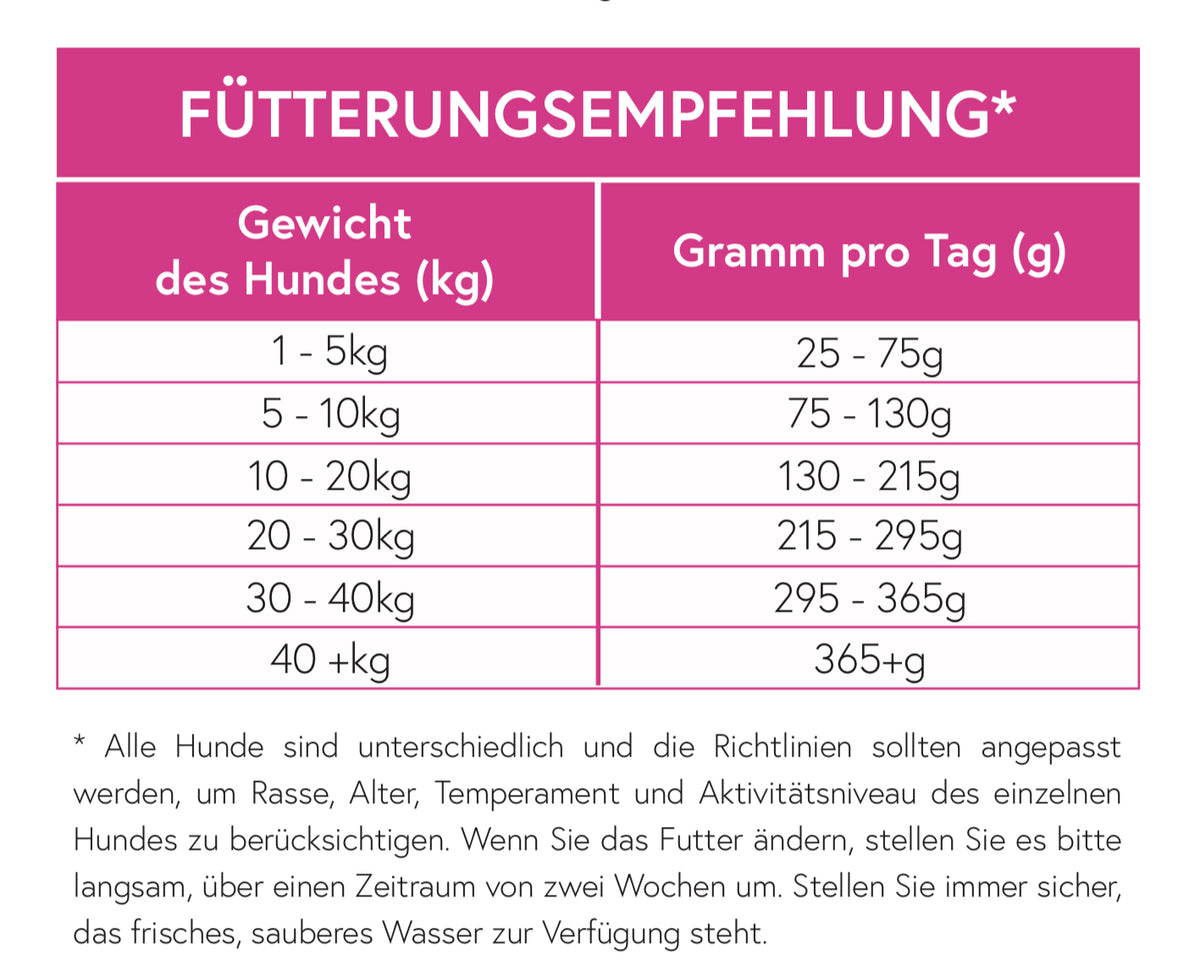 Superfood 65 Schottischer Lachs für ausgewachsene Hunde / light& senior